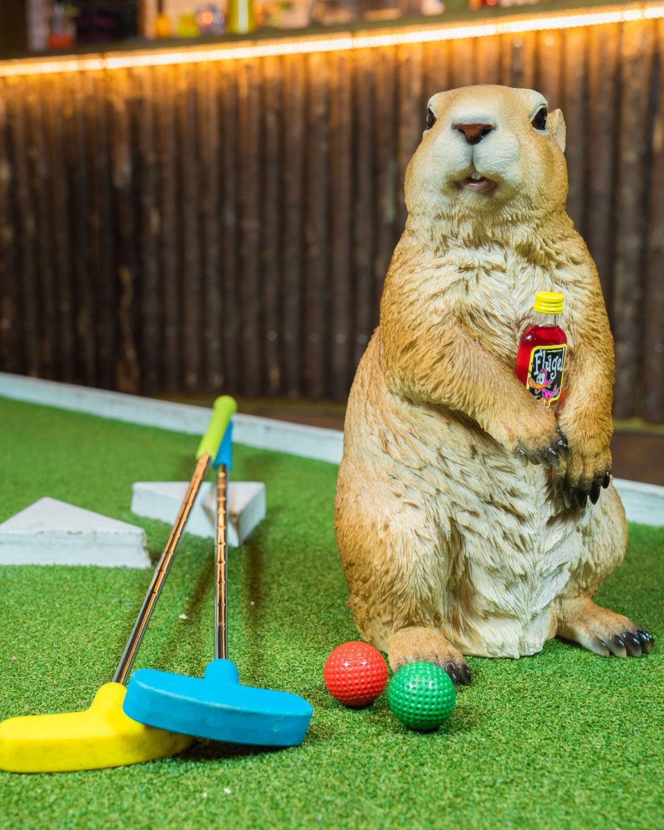Who is Justin Beaver?